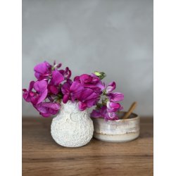 Minivase, Hjertemusling