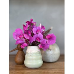 Minivase, Marehalm