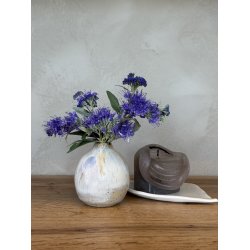 Minivase, Spot