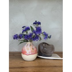 Minivase, Daggry