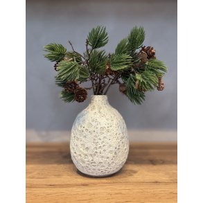 Vase, mellem, Hjertemusling 