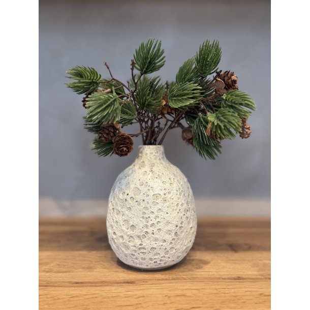 Vase, mellem, Hjertemusling 