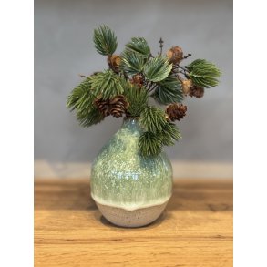 Vase, mellem, Anemone