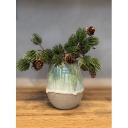 Vase, mellem, Anemone