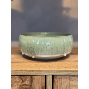 Skl, mellem, Anemone