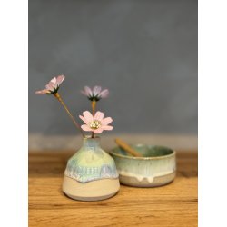 Minivase, Nordlys