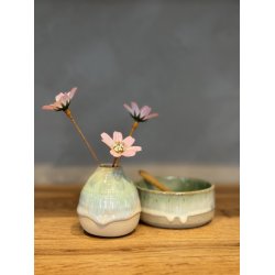 Minivase, Nordlys